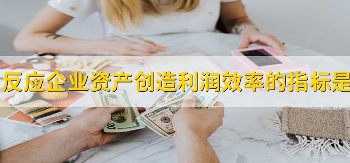 反应企业资产创造利润效率的指标是