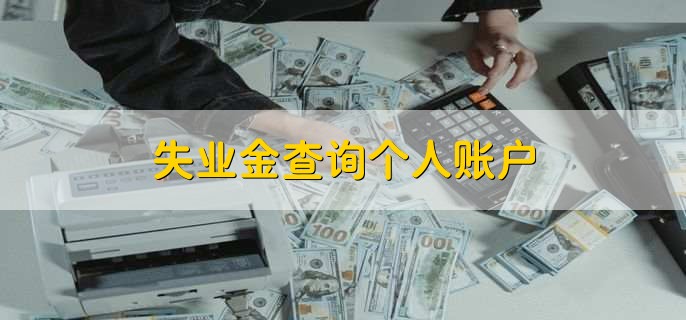 失业金查询个人账户