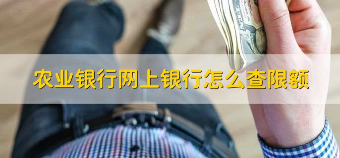 农业银行网上银行怎么查限额