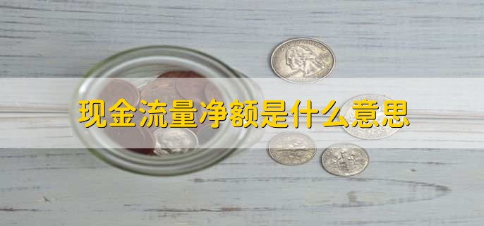 现金流量净额是什么意思