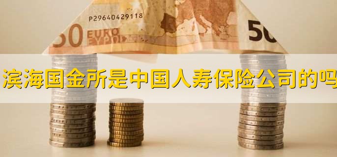 滨海国金所是中国人寿保险公司的吗?