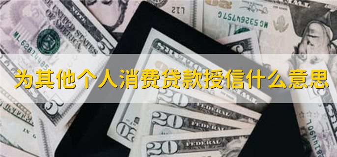 为其他个人消费贷款授信什么意思