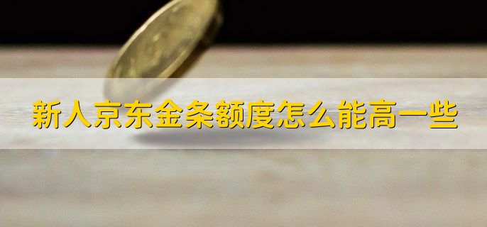 新人京东金条额度怎么能高一些