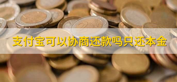 支付宝可以协商还款吗只还本金