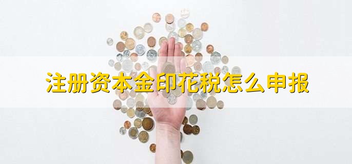 注册资本金印花税怎么申报