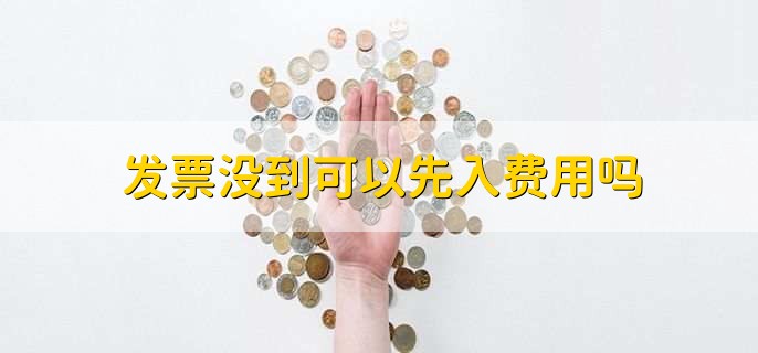 发票没到可以先入费用吗