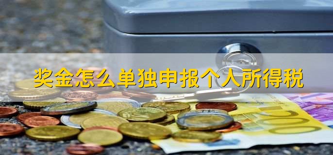 奖金怎么单独申报个人所得税