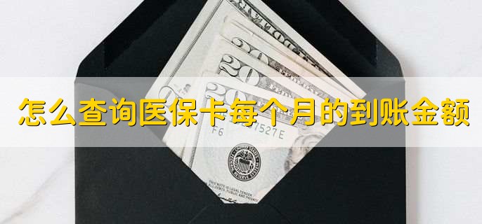 怎么查询医保卡每个月的到账金额