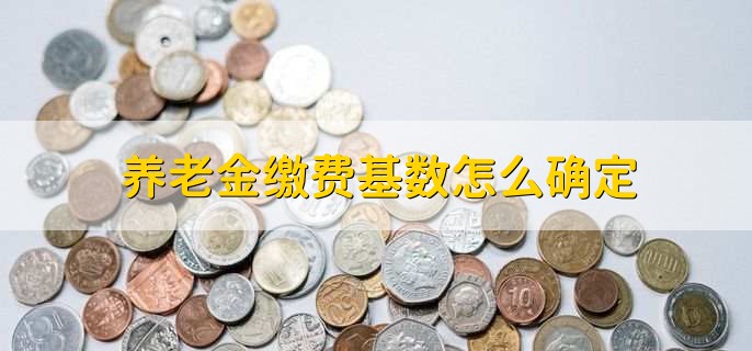 养老金缴费基数怎么确定