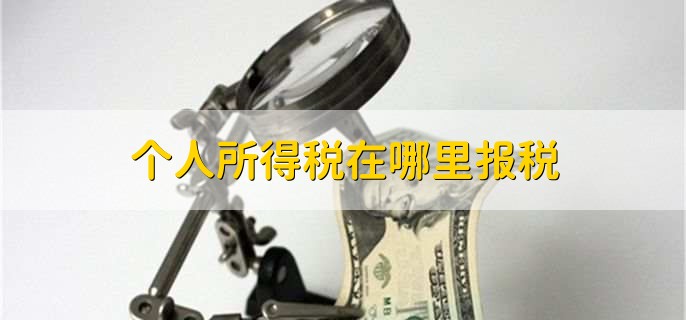 个人所得税在哪里报税