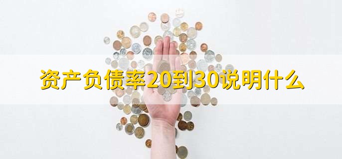 资产负债率20到30说明什么