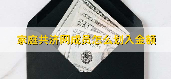 家庭共济网成员怎么划入金额