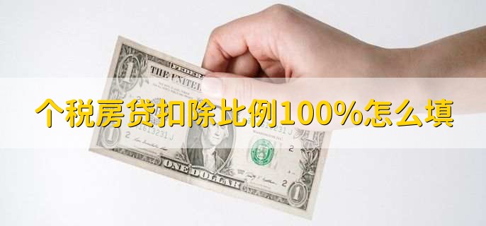 个税房贷扣除比例100%怎么填