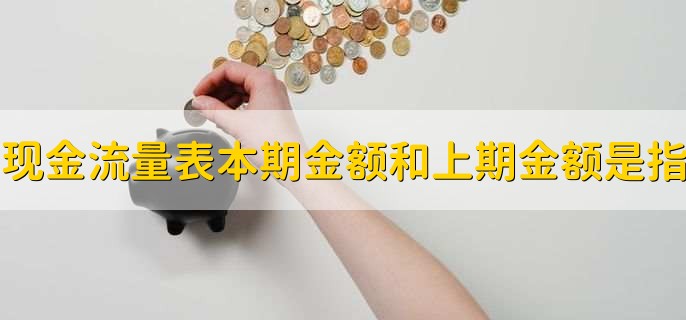 现金流量表本期金额和上期金额是指