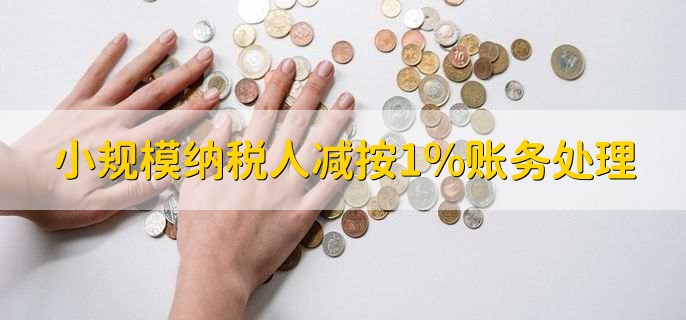 小规模纳税人减按1%账务处理