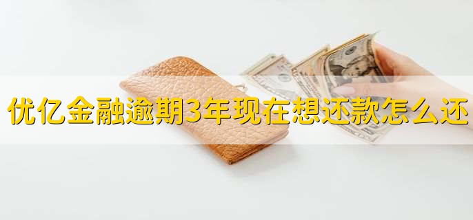 优亿金融逾期3年现在想还款怎么还