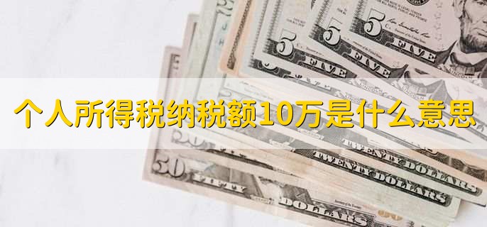 个人所得税纳税额10万是什么意思