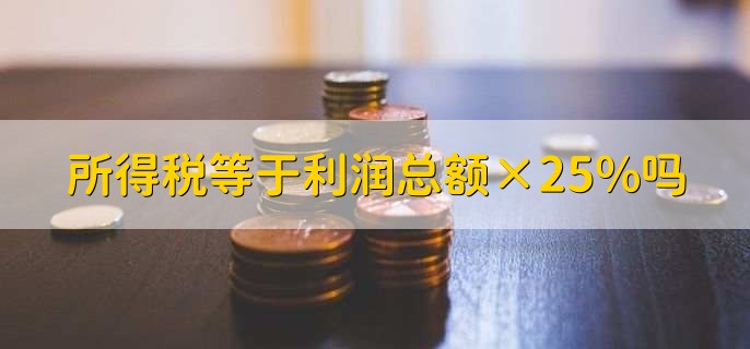 所得税等于利润总额×25%吗