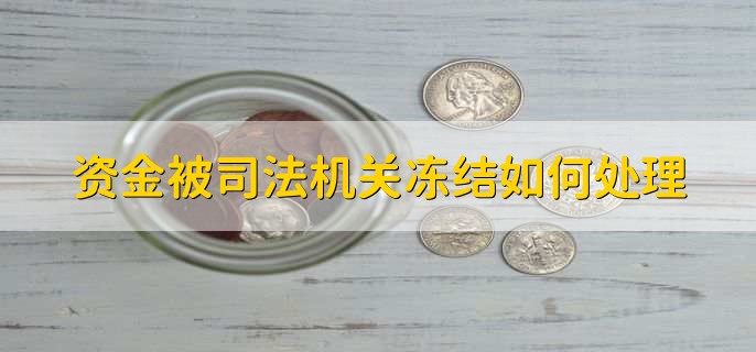 资金被司法机关冻结如何处理