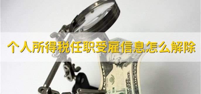 个人所得税任职受雇信息怎么解除