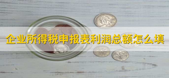 企业所得税申报表利润总额怎么填