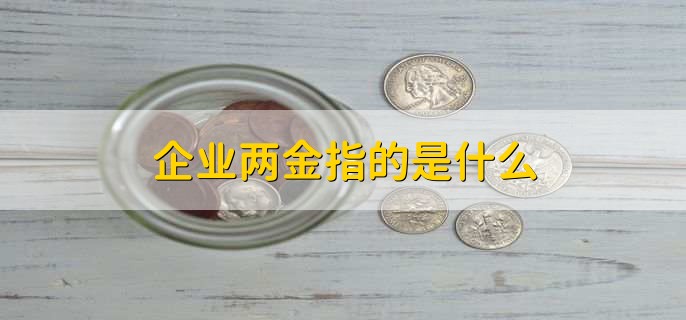 企业两金指的是什么