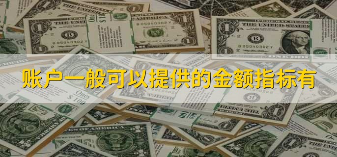 账户一般可以提供的金额指标有