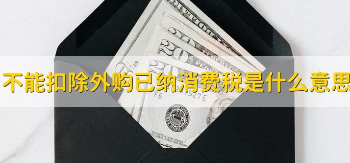 不能扣除外购已纳消费税的是什么意思