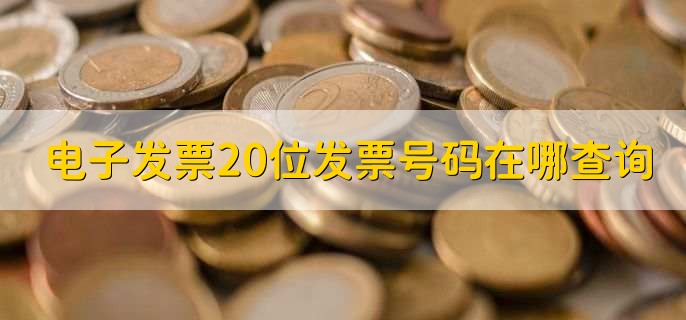 电子发票20位发票号码在哪查询