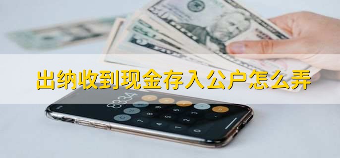 出纳收到现金存入公户怎么弄