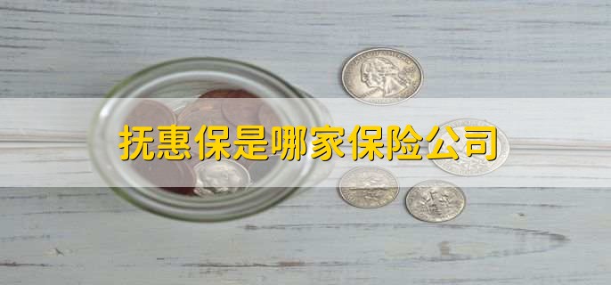 抚惠保是哪家保险公司