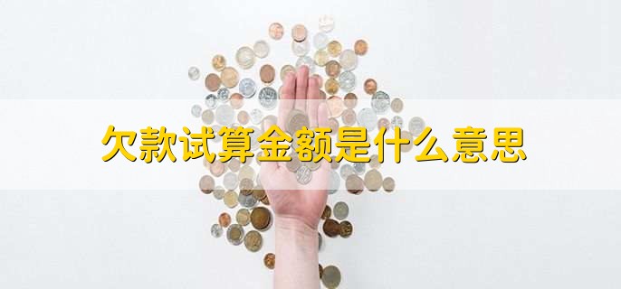 欠款试算金额是什么意思