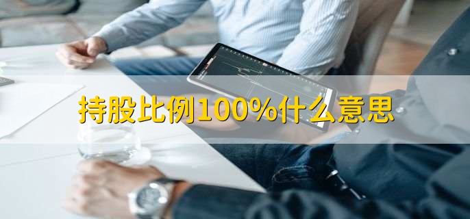 持股比例100%什么意思