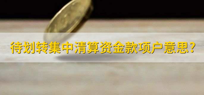 待划转集中清算资金款项户是什么意思?