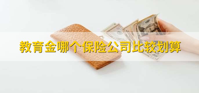 教育金哪个保险公司比较划算，教育金和成长金区别