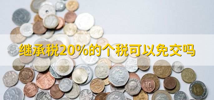 继承税20%的个税可以免交吗