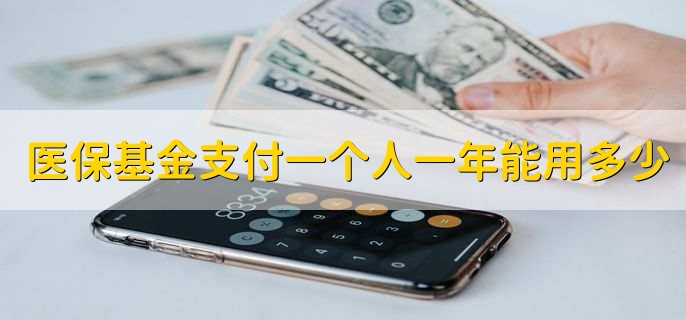 医保基金支付一个人一年能用多少