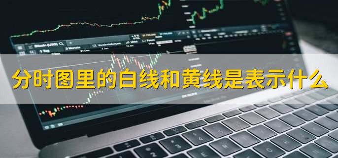 分时图里的白线和黄线是表示什么，有以下2点