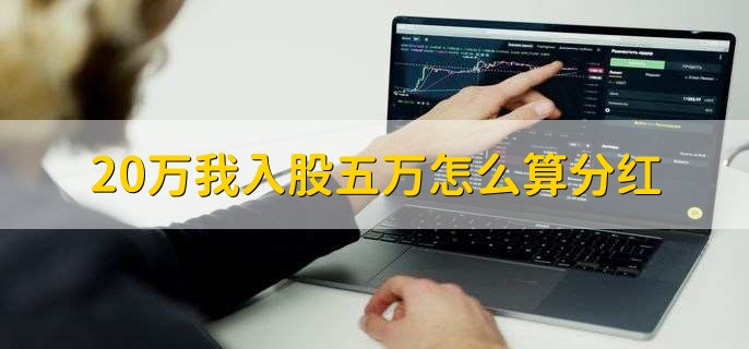 20万我入股五万怎么算分红