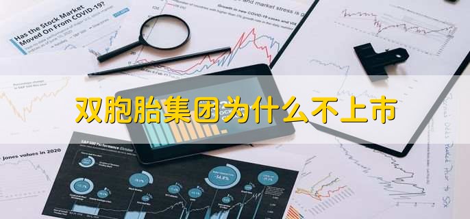 双胞胎集团为什么不上市，有以下五点