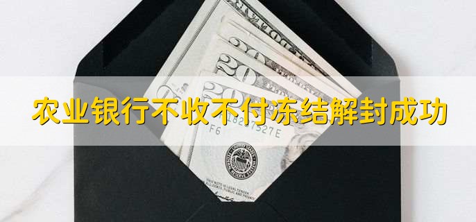 农业银行不收不付冻结解封成功