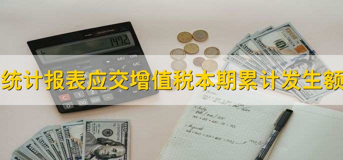 统计报表应交增值税本期累计发生额