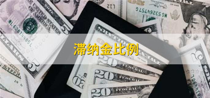 滞纳金比例