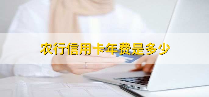 农行信用卡年费是多少