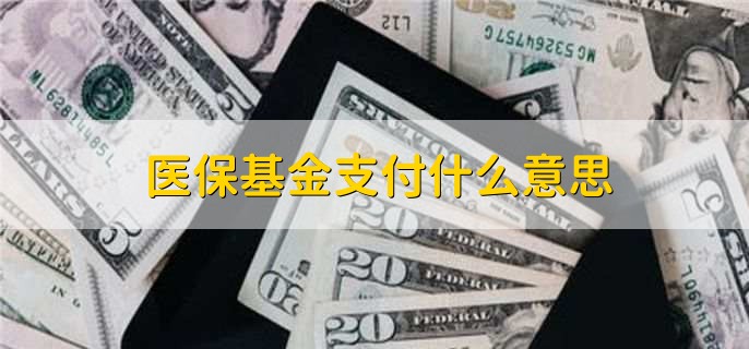 医保基金支付什么意思