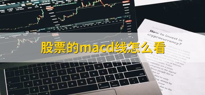 股票的macd线怎么看