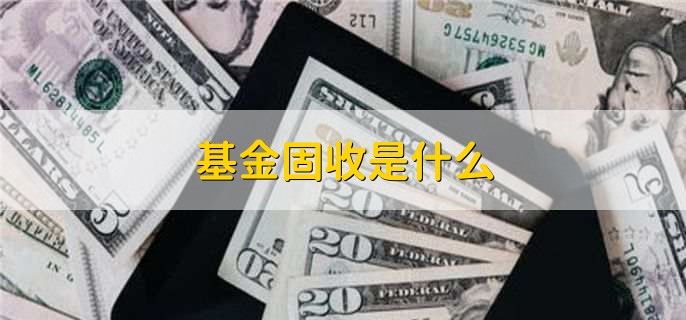 基金固收是什么，以固定收益资产为主要投资对象的基金