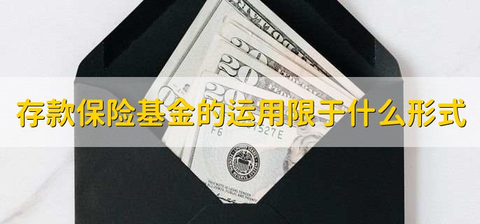 存款保险基金的运用限于什么形式