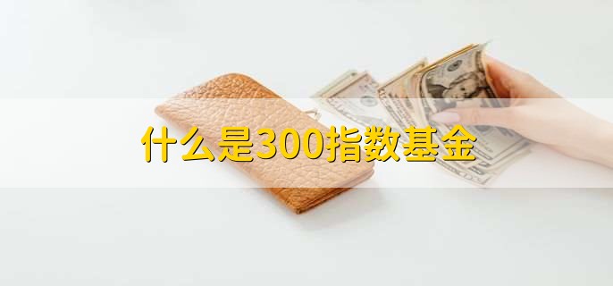 什么是300指数基金，跟踪或复制沪深300指数的基金