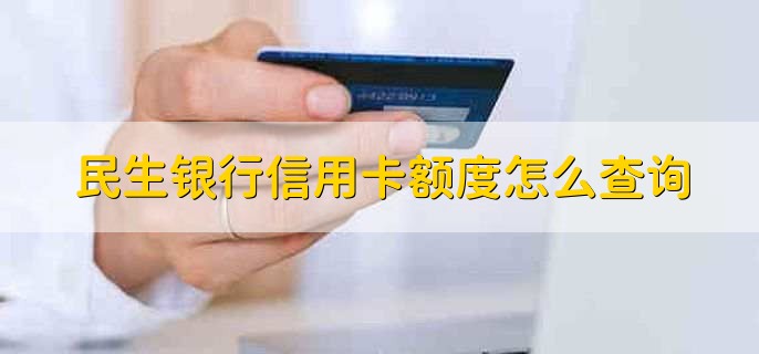 民生银行信用卡额度怎么查询，分以下四点